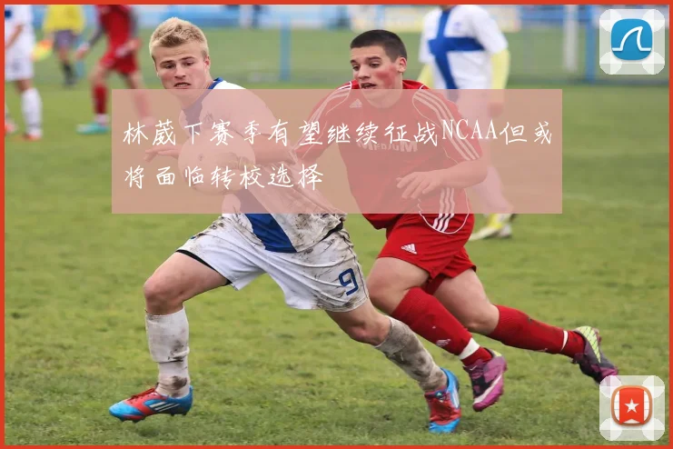 林葳下赛季有望继续征战NCAA但或将面临转校选择