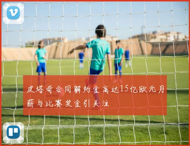 皮塔奇合同解约金高达15亿欧元月薪与比赛奖金引关注