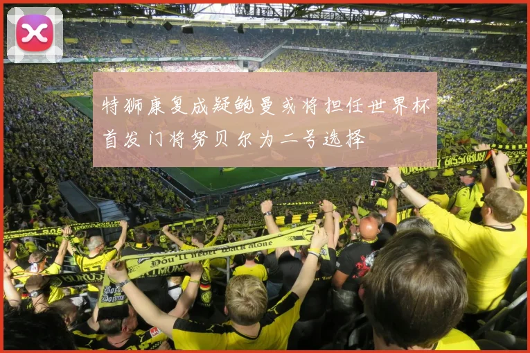 特狮康复成疑鲍曼或将担任世界杯首发门将努贝尔为二号选择